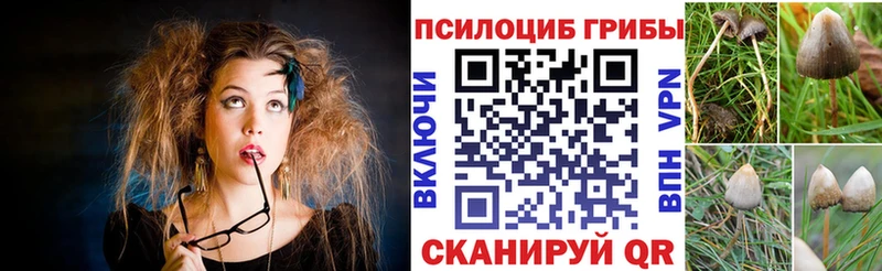 Галлюциногенные грибы Magic Shrooms  Устюжна 
